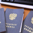 200 севастопольских школьников были временно трудоустроены в период летних каникул - Правительство Севастополя