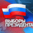 Сколько людей придет на выборы - RuInformer.Com