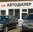Еще одна очевидная жертва коронавируса - автодилеры - RuInformer.Com