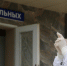 Севастопольские медики получат майские «коронавирусные» выплаты 3 июня - Телеканал НТС