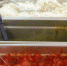 Социальных столовых не будет. Нужны ли Севастополю продуктовые карточки? - Телеканал НТС