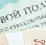 Названы самые популярные у россиян страховки - НеФакт.Инфо