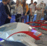 Учёные СевГУ на авиасалоне МАКС-2021 представили модель аэротакси будущего - Телеканал НТС