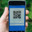 Севастополец продал более 9 тысяч поддельных  QR-кодов - RuInformer.Com