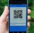 В Кремле поддержали инициативу об опросе россиян по поводу QR-кодов - RuInformer.Com