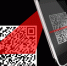 Путин высказался против введения QR-кодов на транспорте - SevKor.Ru