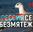 ForPost - Новости : Опрос на улицах Севастополя: как не впасть в уныние - Sevastopol.Su