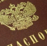 В Крыму готовы оформлять паспорта РФ для жителей освобожденных территорий Украины - Obyektiv.Press