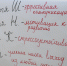 Капитаны бизнеса из ЮФУ проводят бизнес-тренинги для молодежи в СевГУ - СевГУ