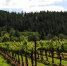 Какой он, золотой земельный резерв Севастополя? - RuInformer.Com
