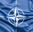 Все планы НАТО на Украине с треском провалились, заявили в Европе - SevastopolMedia