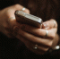 Дуров рассказал о борьбе Telegram с рассылками призывов к терактам - Obyektiv.Press