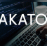 Хакатон по программированию для студентов 2024 - СевГУ