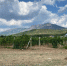 В Госдуме хотят разработать льготную ипотеку для работников культуры - RuInformer.Com