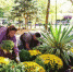 Подачу тепла начали в социальные учреждения Ялты - SevastopolMedia