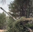 19 ноября – День ракетных войск и артиллерии - Вести.Севастополь