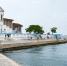На Хрустальном пляже в Севастополе срубили красивейшие деревья - Sevastopol.Su