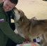 Волонтёры Общероссийского Народного фронта вернулись из Курска, где были с гуманитарной миссией - Вести.Севастополь