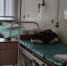 «Договор с лечебным учреждением». В Крыму плановый показатель перевыполнен на 25 врачей - RuInformer.Com