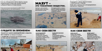 Жителям Севастополя разъяснили правила уборки мазута с пляжей - Комсомольская Правда