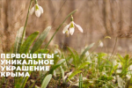 Путин продлил действие госпрограммы развития Крыма и Севастополя до 2030 года