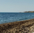 На замазученных пляжах Севастополя затишье перед штормом - Sevastopol.Su