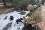 Родители севастопольских выпускников написали ЕГЭ по математике