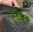 "Царский" салат из пекинки: домашние мурлычат от вкусноты - готовьте сразу тазик - SevastopolMedia