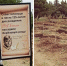 В память о Денисе Птичке в Севастополе хотят установить мемориальную доску - Sevastopol.Su