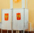 Почему узаконили дистанционное голосование на выборах губернатора Севастополя - SevastopolMedia