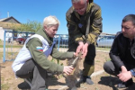Вечный огонь в парке Симферополя временно перестанет гореть