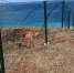 Дружбу садоводов и любителей острых ощущений прервал забор - Sevastopol.Su