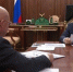 Котята дальневосточных леопардов родились в парке "Тайган" Крыма - SevastopolMedia