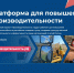 Севастопольские предприятия смогут бесплатно повысить производительность - Управление проектной деятельности