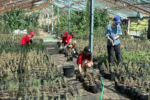 Госпрограмму развития Крыма и Севастополя продлили до 2030 года