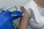 Десерт для почек – названы скрытые суперспособности малины