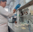 На рынке Центральный прошла проверка качества и безопасности продуктов: контроль усилен по поручению губернатора - Правительство Севастополя