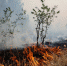 Авиация МЧС России тушит ландшафтный пожар в Крыму></div>
	<div class= - Вести.Севастополь
