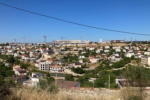 Не пустили в Крым 27 голов скота без документов из Херсонской области