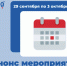 dashboard - Мой Бизнес