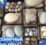 Всемирный день яйца - Управление ветеринарии