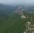 Новый заповедник появится на Южном берегу Крыма></div>
	<div class= - Вести.Севастополь