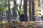 Водитель упавшей с моста фуры в Симферополе нарушил требования знаков