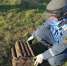 У крымской Глазовки со дна Черного моря подняли и уничтожили снаряды - Комсомольская Правда