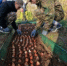 Незаконно нанявшего мигранта бизнесмена в Крыму заставили заплатить штраф - SevastopolMedia