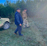 НОВОГОДНЯЯ ЕЛЬ в предновогодний период в севастопольских лесах усилен контроль за сохранностью хвойных деревьев - Севприроднадзор