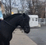 В центре Севастополя прошла акция «Полицейский Дед Мороз»></div>
	<div class= - Вести.Севастополь