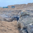 Участники СВО обучают новобранцев></div>
	<div class= - Вести.Севастополь