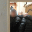 JPG Файл - ОМВД Республики Крым