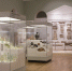 IMG_4278 - Город Инкерман